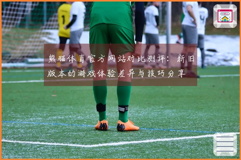 熊猫体育官方网站对比测评：新旧版本的游戏体验差异与技巧分享