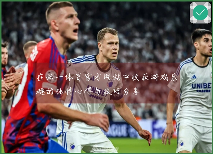 在必一体育官方网站中收获游戏乐趣的独特心得与技巧分享